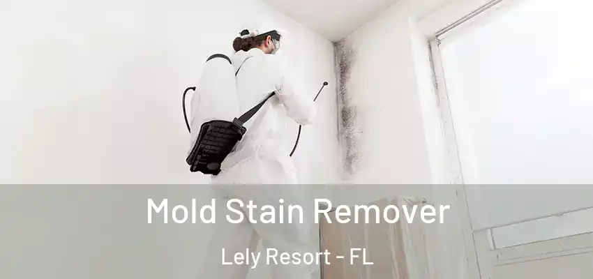  Mold Stain Remover Lely Resort - FL