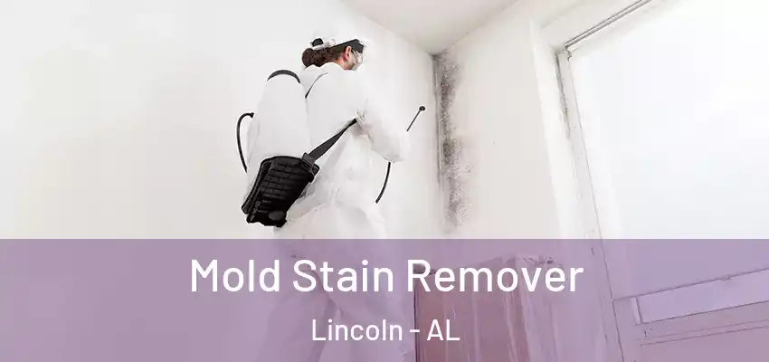  Mold Stain Remover Lincoln - AL