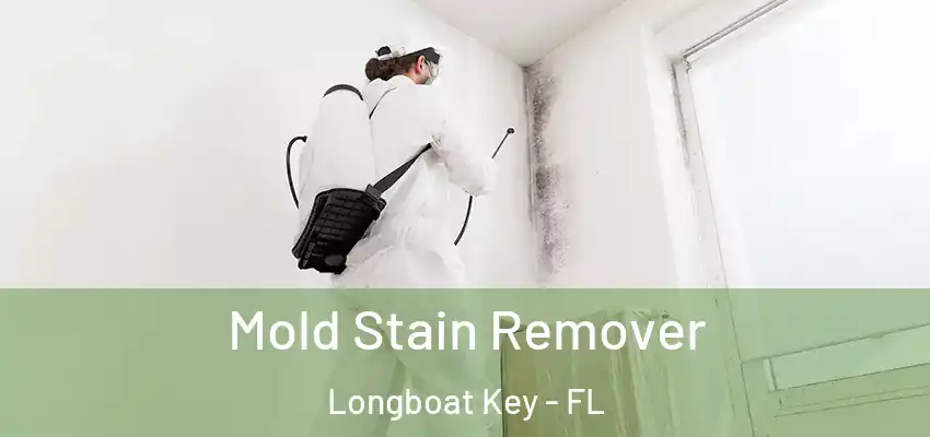  Mold Stain Remover Longboat Key - FL