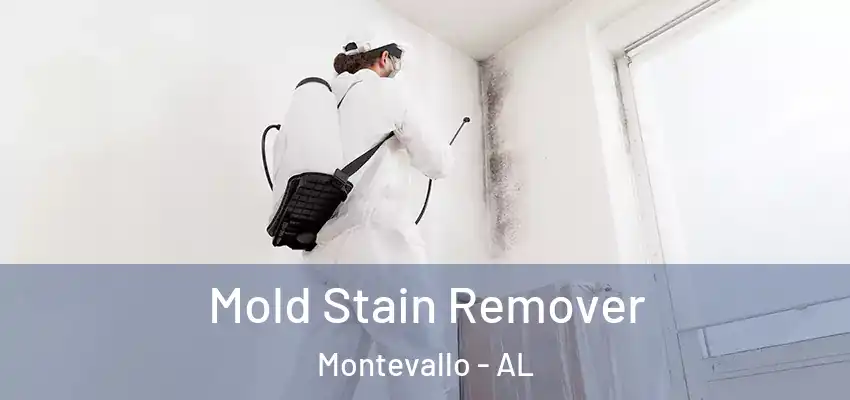  Mold Stain Remover Montevallo - AL