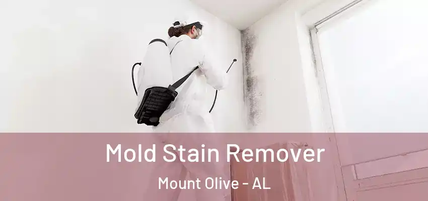  Mold Stain Remover Mount Olive - AL