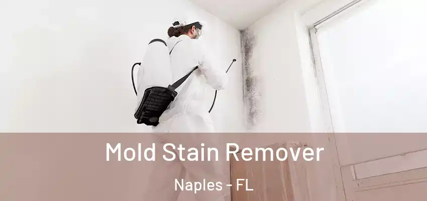  Mold Stain Remover Naples - FL