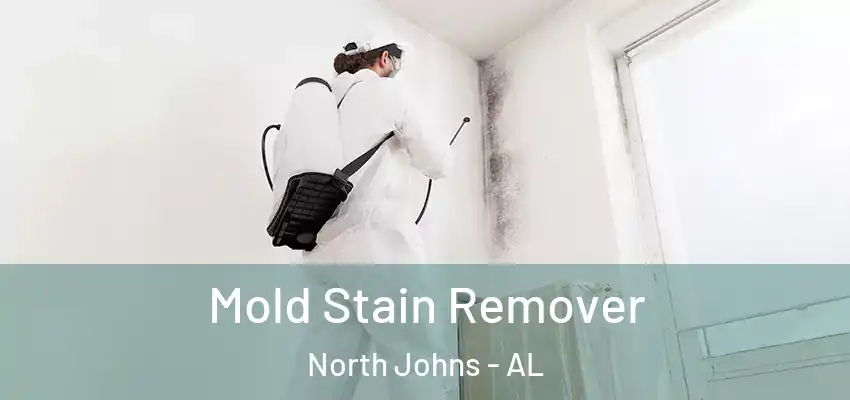  Mold Stain Remover North Johns - AL