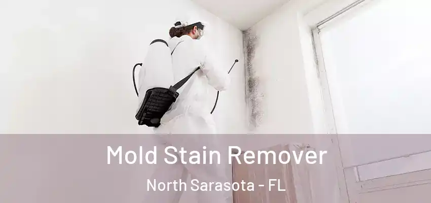 Mold Stain Remover North Sarasota - FL