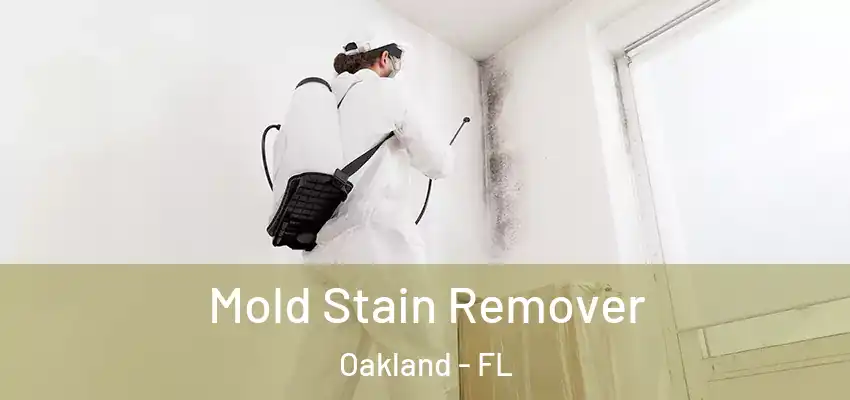  Mold Stain Remover Oakland - FL