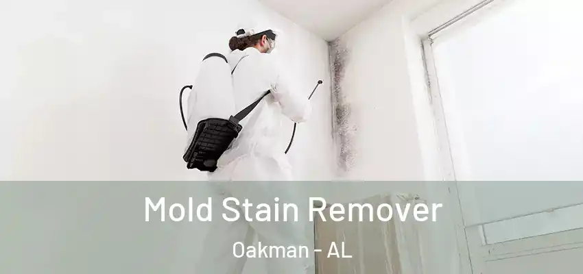 Mold Stain Remover Oakman - AL