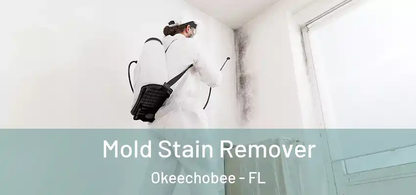  Mold Stain Remover Okeechobee - FL