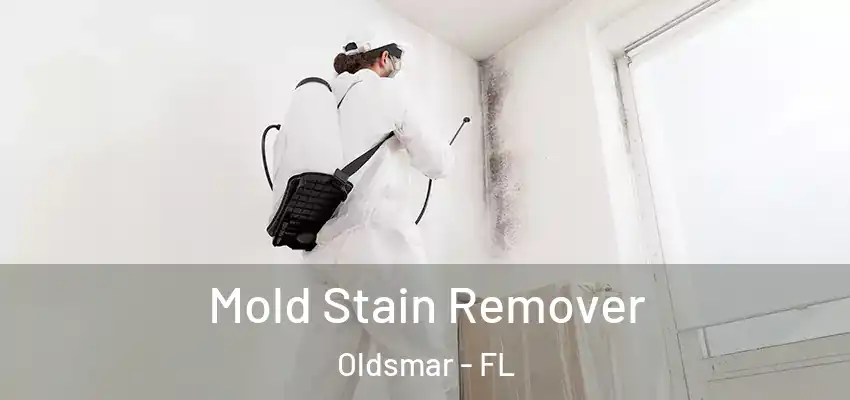  Mold Stain Remover Oldsmar - FL
