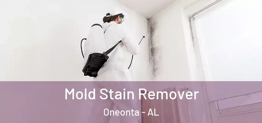  Mold Stain Remover Oneonta - AL