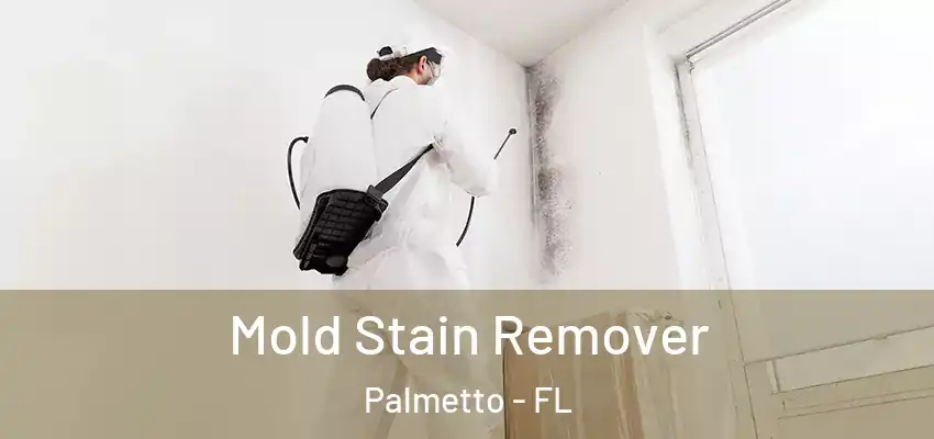  Mold Stain Remover Palmetto - FL