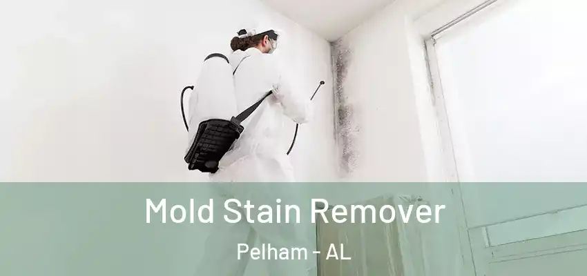  Mold Stain Remover Pelham - AL