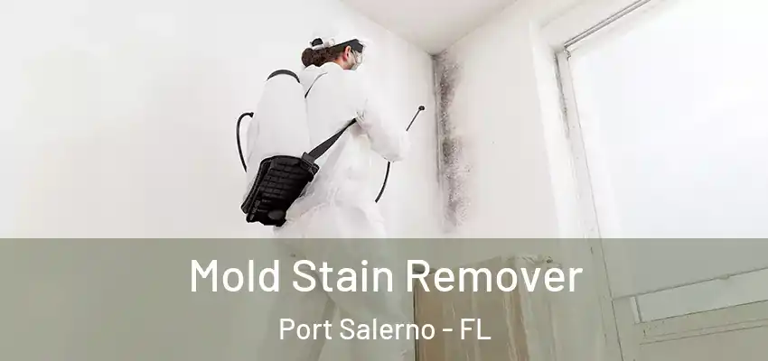 Mold Stain Remover Port Salerno - FL