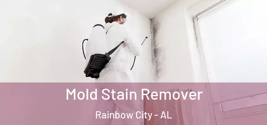 Mold Stain Remover Rainbow City - AL