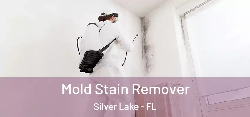  Mold Stain Remover Silver Lake - FL