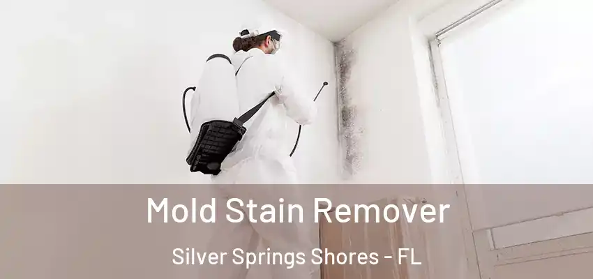  Mold Stain Remover Silver Springs Shores - FL