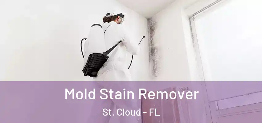  Mold Stain Remover St. Cloud - FL