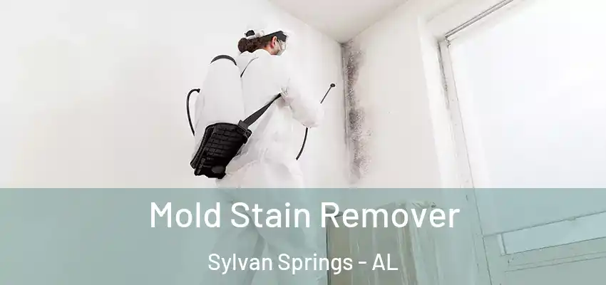 Mold Stain Remover Sylvan Springs - AL