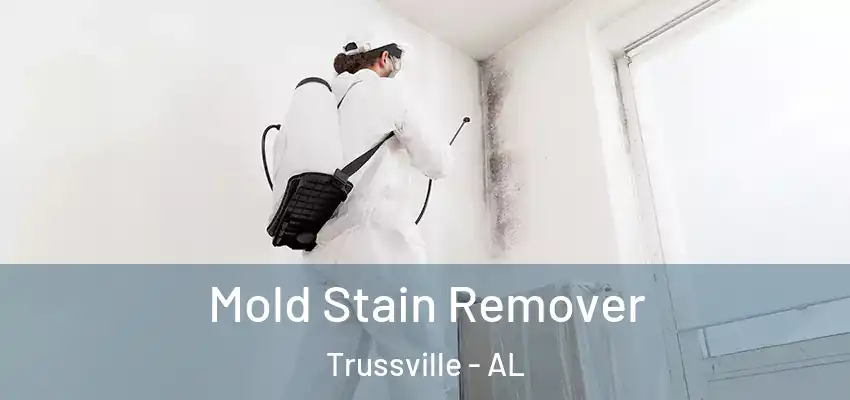  Mold Stain Remover Trussville - AL