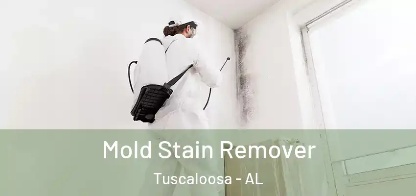  Mold Stain Remover Tuscaloosa - AL