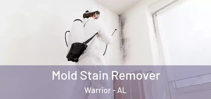  Mold Stain Remover Warrior - AL