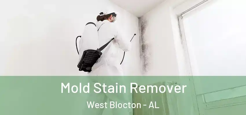  Mold Stain Remover West Blocton - AL