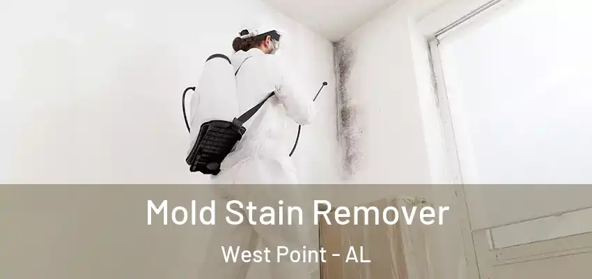  Mold Stain Remover West Point - AL