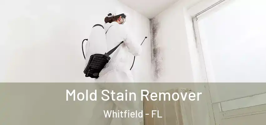  Mold Stain Remover Whitfield - FL