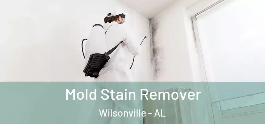  Mold Stain Remover Wilsonville - AL