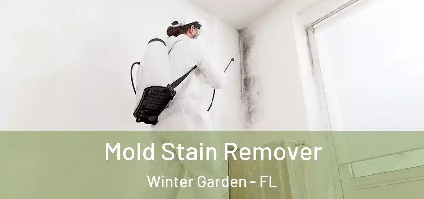  Mold Stain Remover Winter Garden - FL