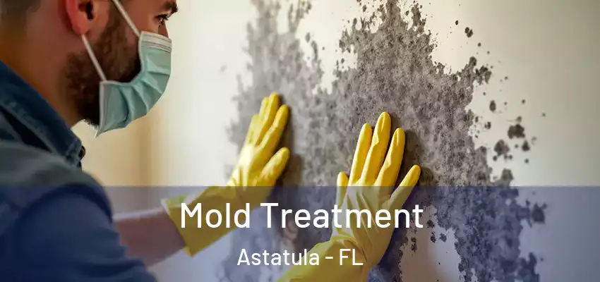  Mold Treatment Astatula - FL