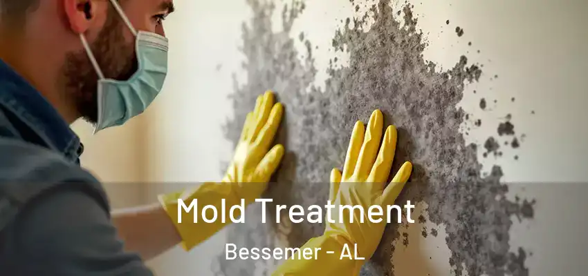  Mold Treatment Bessemer - AL