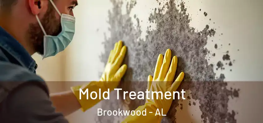  Mold Treatment Brookwood - AL
