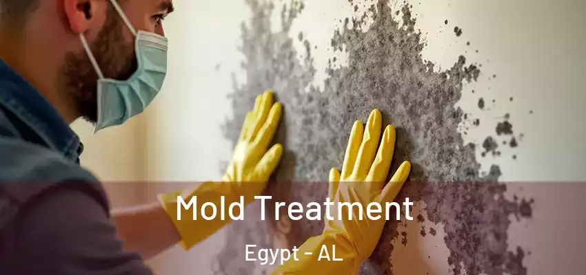  Mold Treatment Egypt - AL