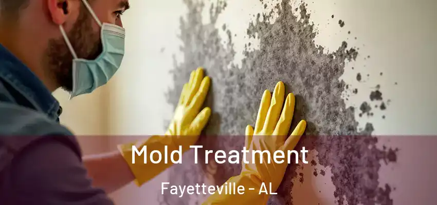  Mold Treatment Fayetteville - AL