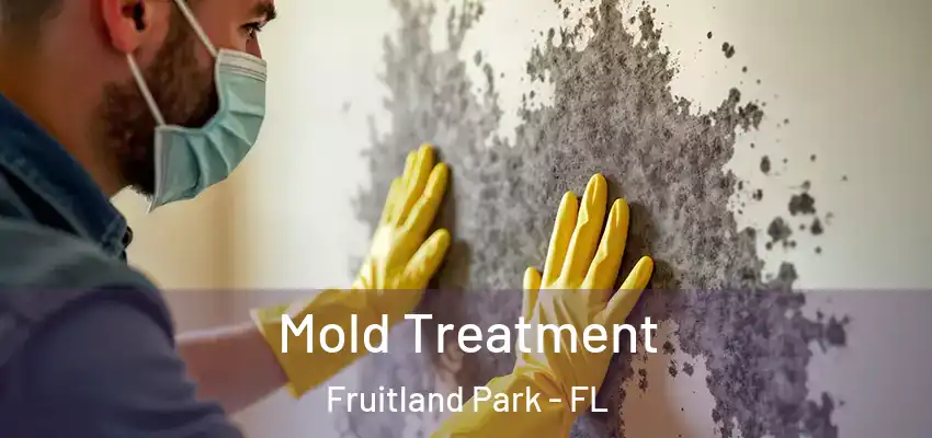 Mold Treatment Fruitland Park - FL
