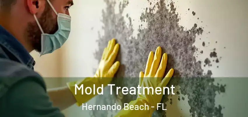 Mold Treatment Hernando Beach - FL