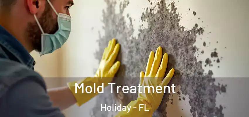  Mold Treatment Holiday - FL