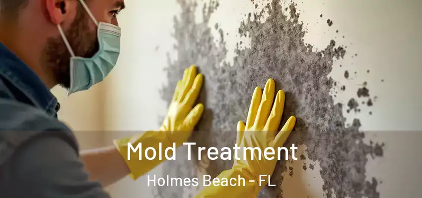  Mold Treatment Holmes Beach - FL