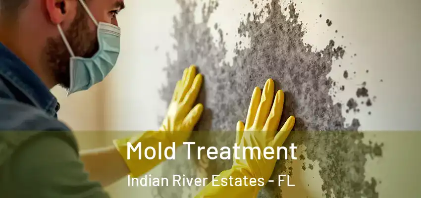  Mold Treatment Indian River Estates - FL