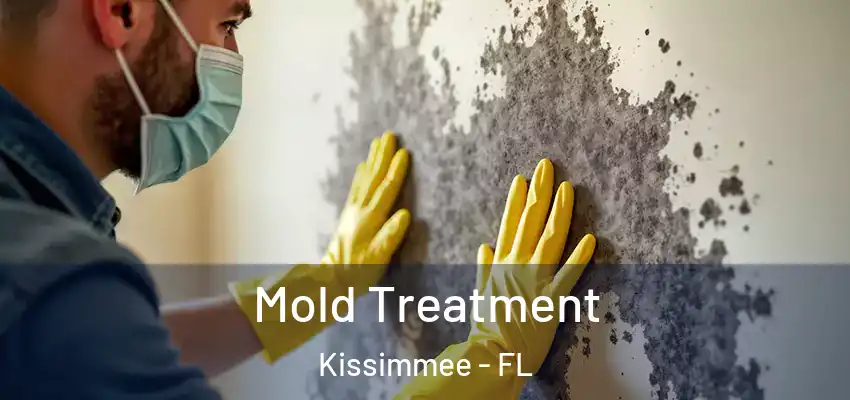  Mold Treatment Kissimmee - FL