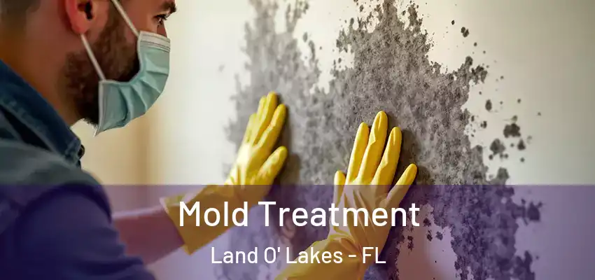 Mold Treatment Land O' Lakes - FL