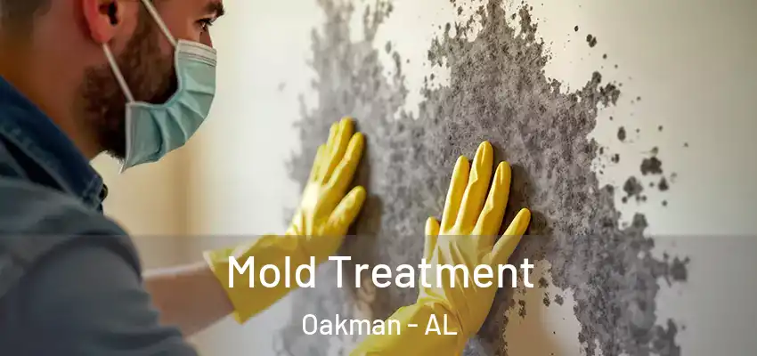  Mold Treatment Oakman - AL