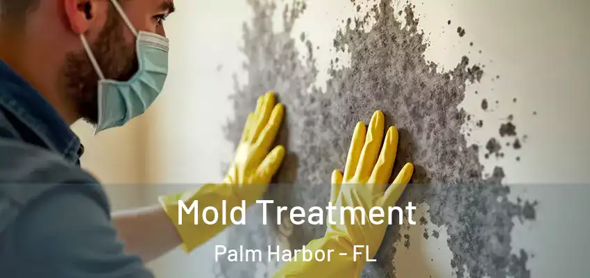  Mold Treatment Palm Harbor - FL