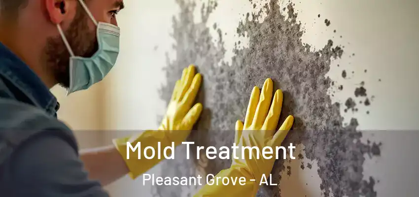  Mold Treatment Pleasant Grove - AL