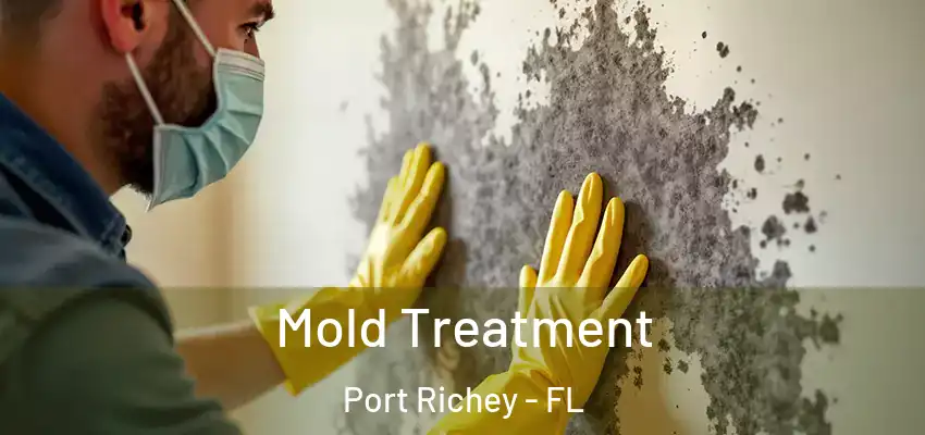 Mold Treatment Port Richey - FL