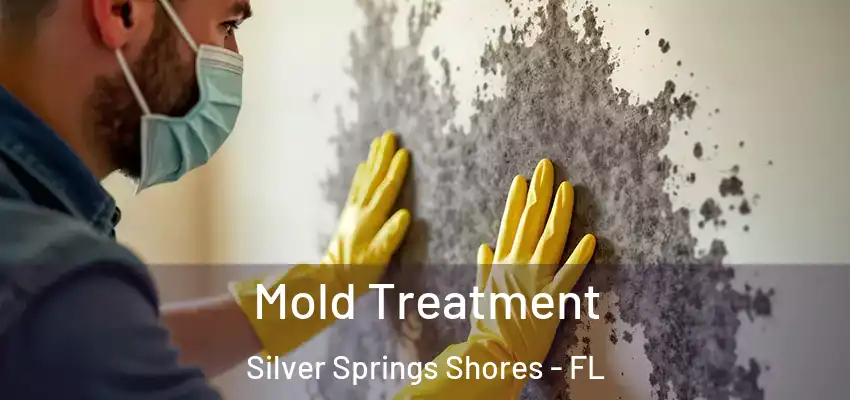  Mold Treatment Silver Springs Shores - FL