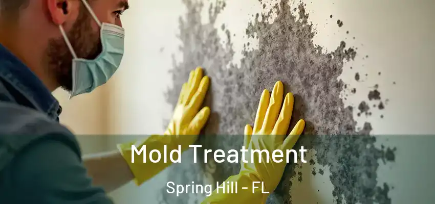  Mold Treatment Spring Hill - FL