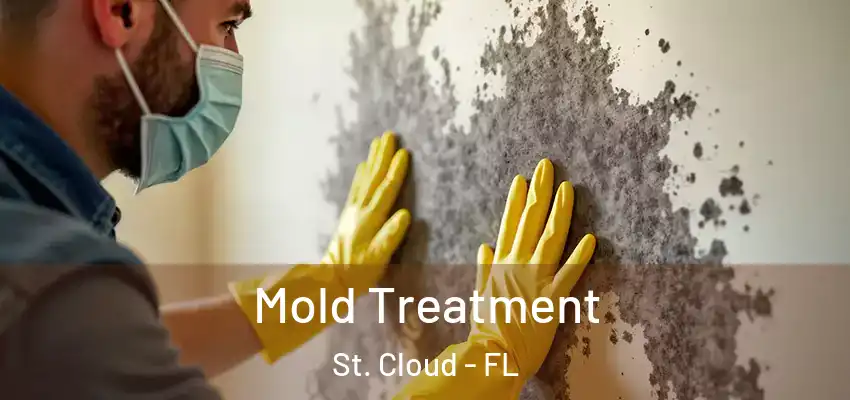  Mold Treatment St. Cloud - FL