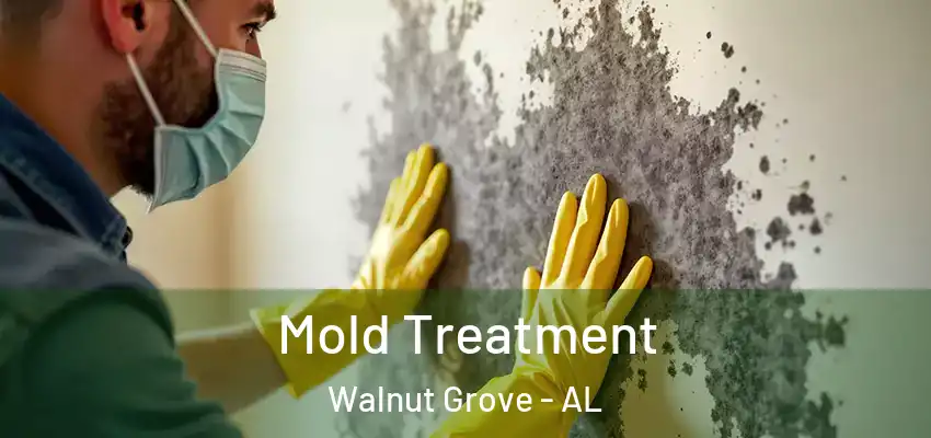  Mold Treatment Walnut Grove - AL