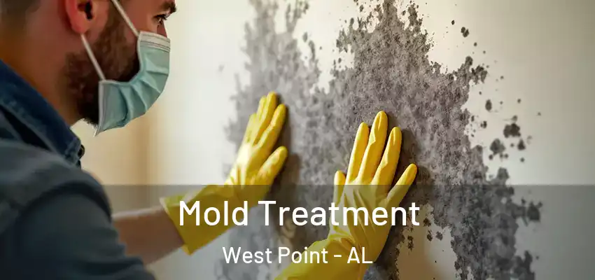 Mold Treatment West Point - AL